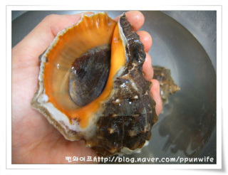 Boiled turban shell — step photo 2