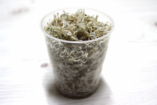 作り方 — 手順の写真