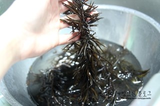 作り方 — 手順の写真