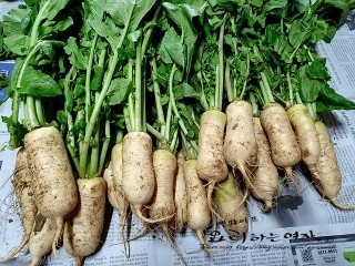 作り方 — 手順の写真