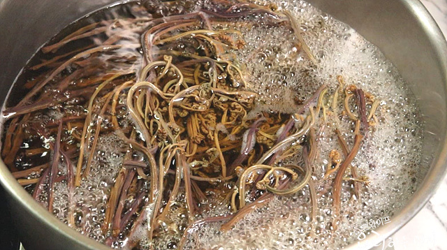 Boil dried bracken fern — step photo 1
