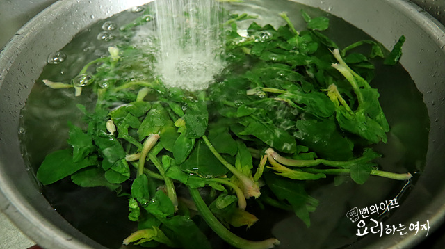 Prep and season the ingredients — step photo 1