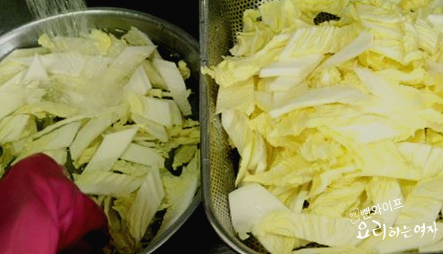 Salt the cabbage — step photo 1