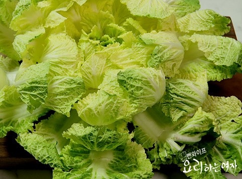 Prepare the spring napa cabbage — step photo 1