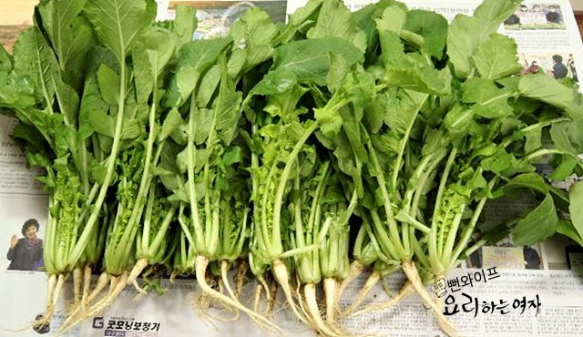Prepare the young summer radish — step photo 1