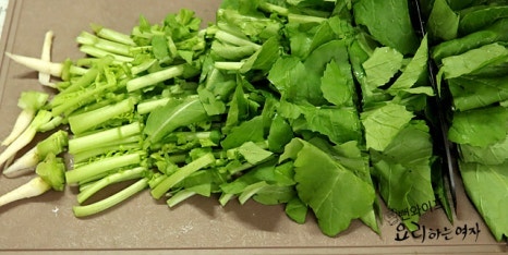 Prepare the young summer radish — step photo 3