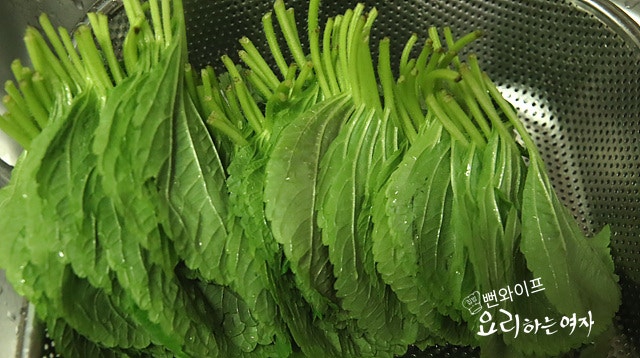 Clean the perilla leaves — step photo 1