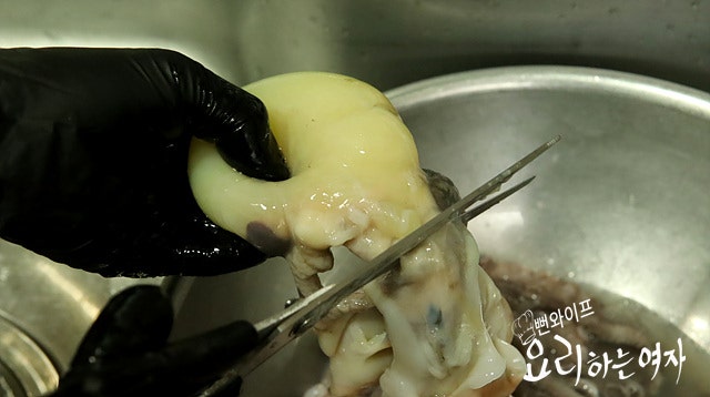Clean the octopus — step photo 1