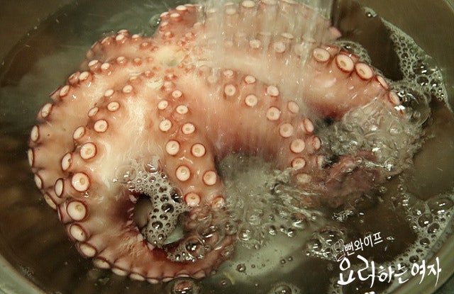 How to boil the octopus — step photo 1