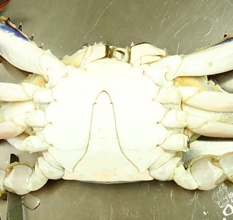 Clean the blue crabs — step photo 1