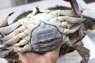 Clean the blue crabs — step photo 2