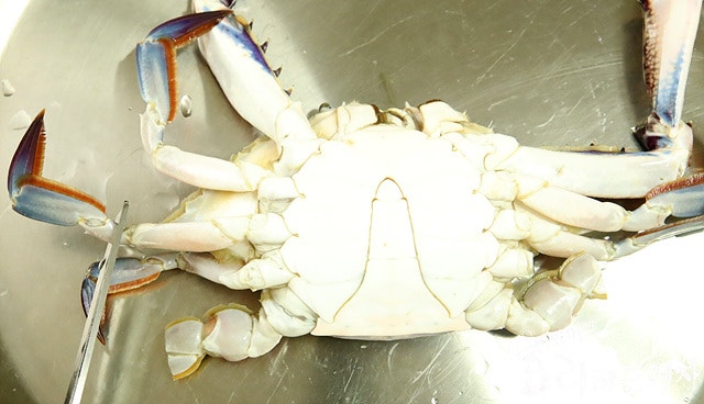 Clean the blue crabs — step photo 2