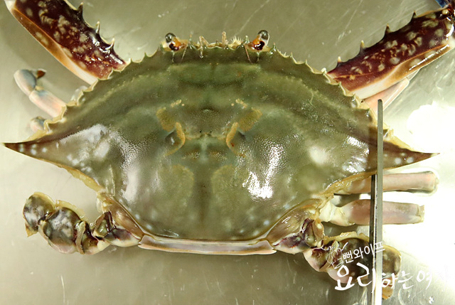 Clean the blue crabs — step photo 3