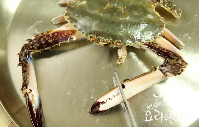 Clean the blue crabs — step photo 4