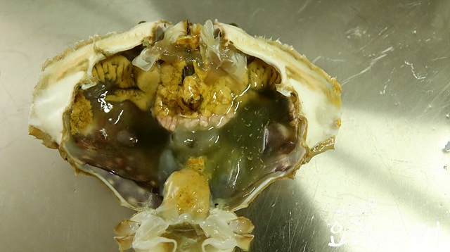Clean the blue crabs — step photo 1