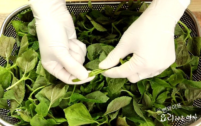 Prepare the baby perilla leaves — step photo 1