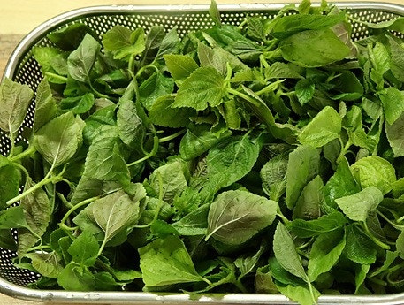Prepare the baby perilla leaves — step photo 2