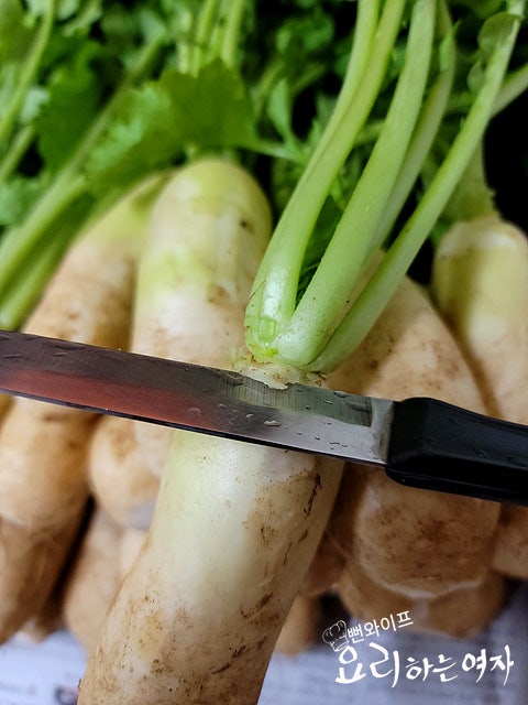 Trim the altari radish — step photo 1