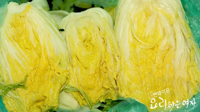 Rinse and drain the salted napa cabbage — step photo 1