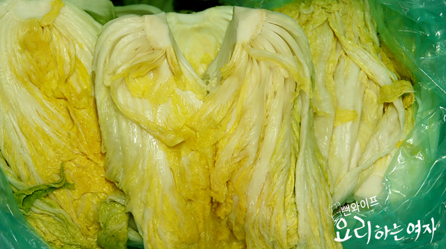 Rinse and drain the salted napa cabbage — step photo 2