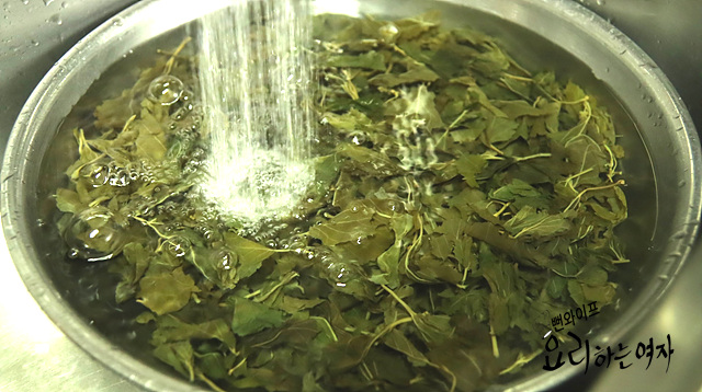 Boil the mulberry leaves — step photo 1