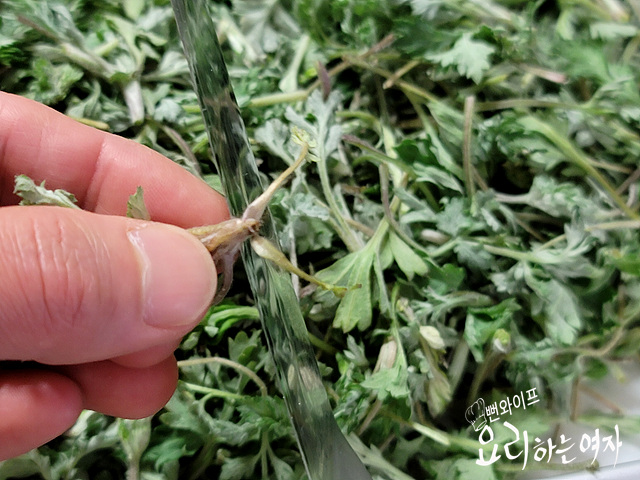 Clean the mugwort — step photo 1