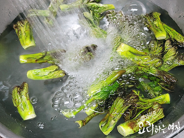 タラの芽の下処理をする — 手順の写真 1