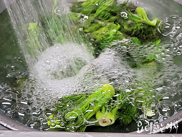タラの芽をゆでる — 手順の写真 1
