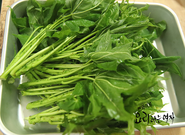 Prepare the prickly castor oil tree shoots — step photo