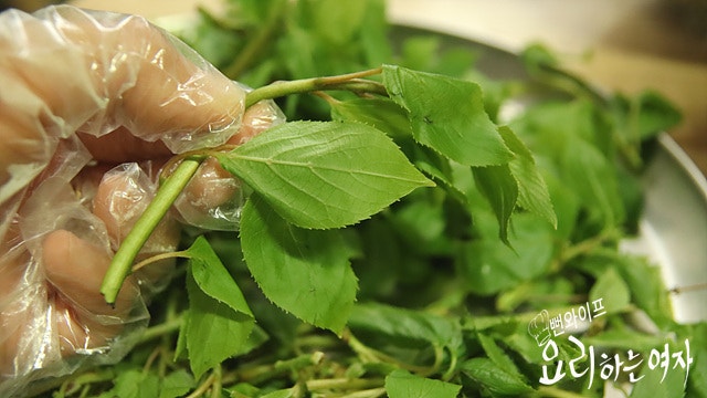 Prepare the hardy kiwi shoots — step photo 2