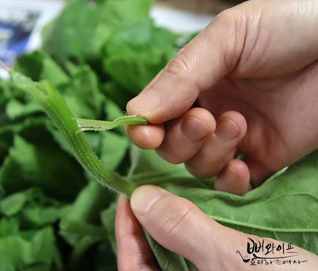 Trim the pumpkin leaves — step photo 1