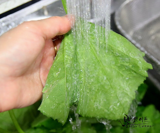 Wash the leaves — step photo 2