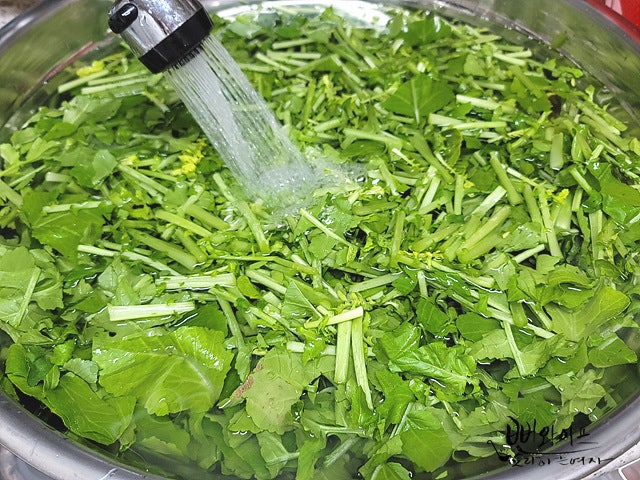 Salt the young summer radish — step photo
