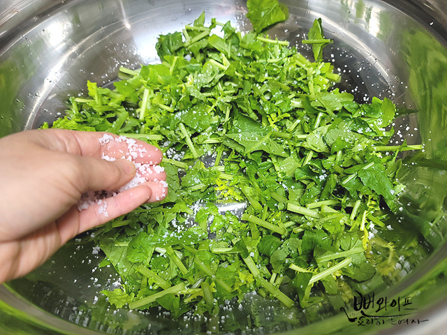 Salt the young summer radish — step photo 1