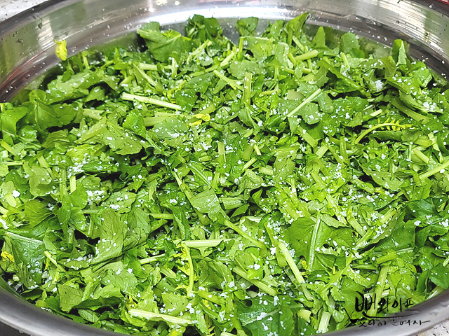 Salt the young summer radish — step photo 2