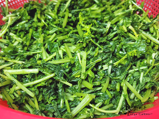 Salt the young summer radish — step photo 2