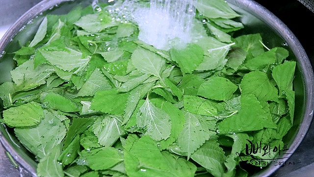 Trim the baby perilla leaves — step photo 1