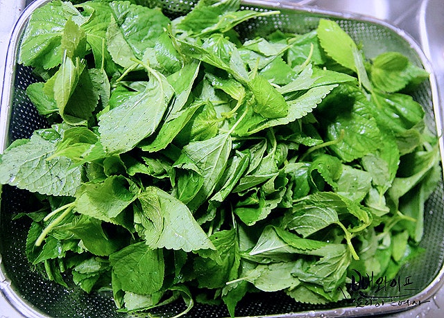 Trim the baby perilla leaves — step photo 2