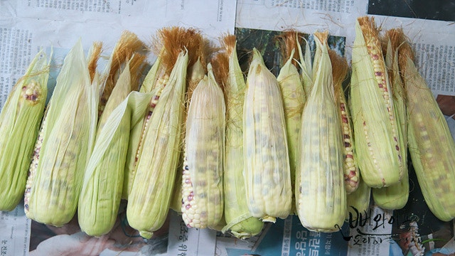 Prepare the corn — step photo 2