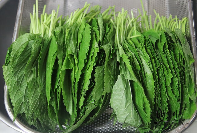 Prepare the perilla leaves — step photo 1