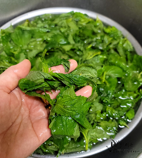 Wash the baby perilla leaves — step photo 1