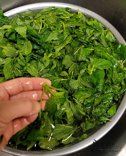 Wash the baby perilla leaves — step photo 3