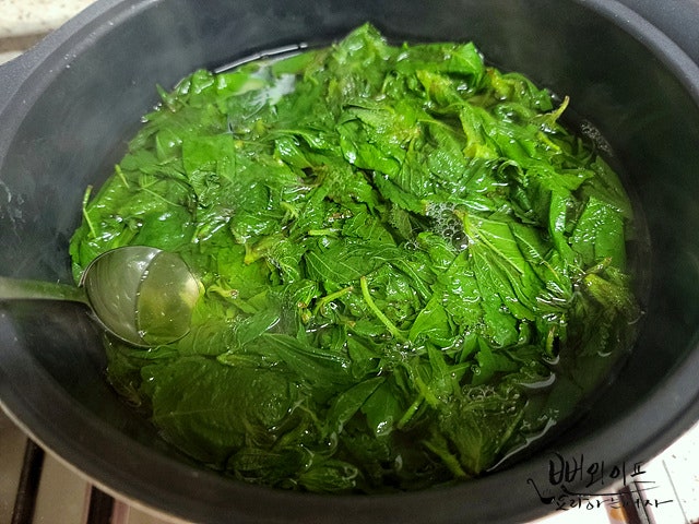 Blanch the baby perilla leaves — step photo 2