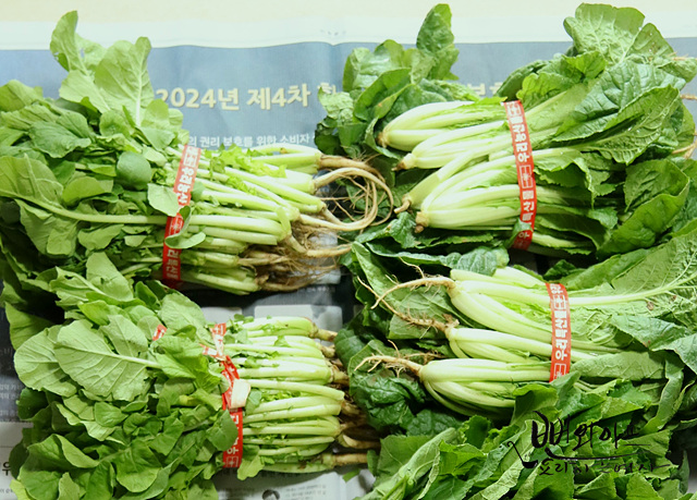 材料の用意 — 手順の写真