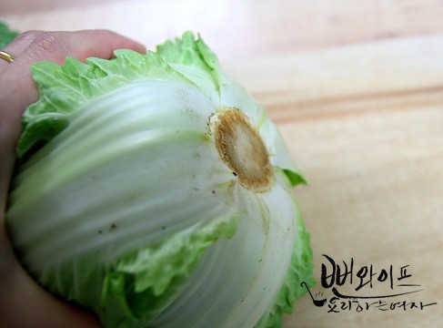 春白菜の下処理 — 手順の写真 1
