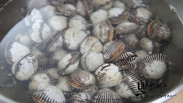 How to purge cockles — step photo 2