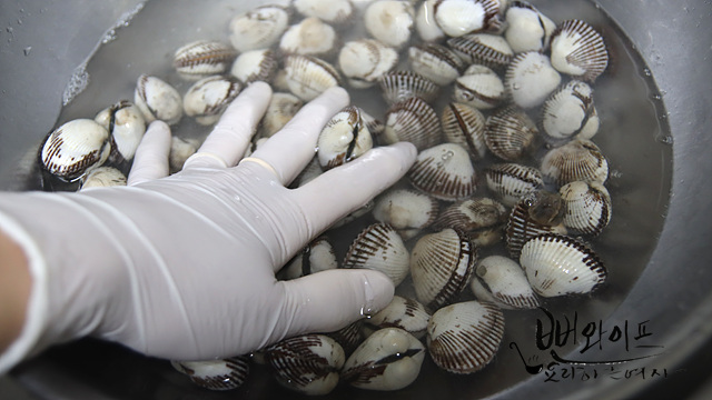 How to purge cockles — step photo 1