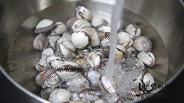 How to purge cockles — step photo 2