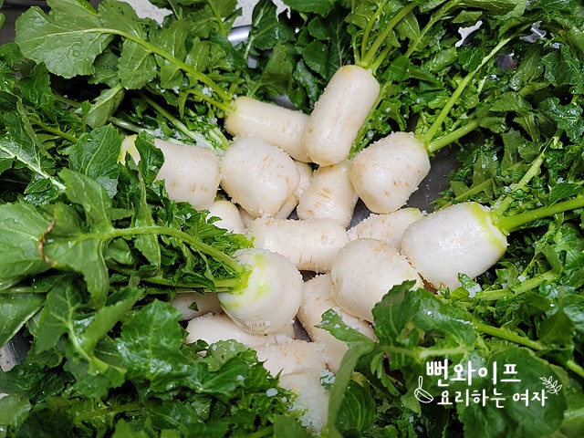 Salt the altari radishes — step photo 1