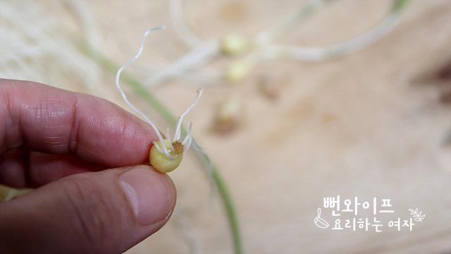 ヒメニラの下処理 — 手順の写真 1